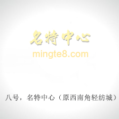 八號，名特中心（原西南角輕紡城）